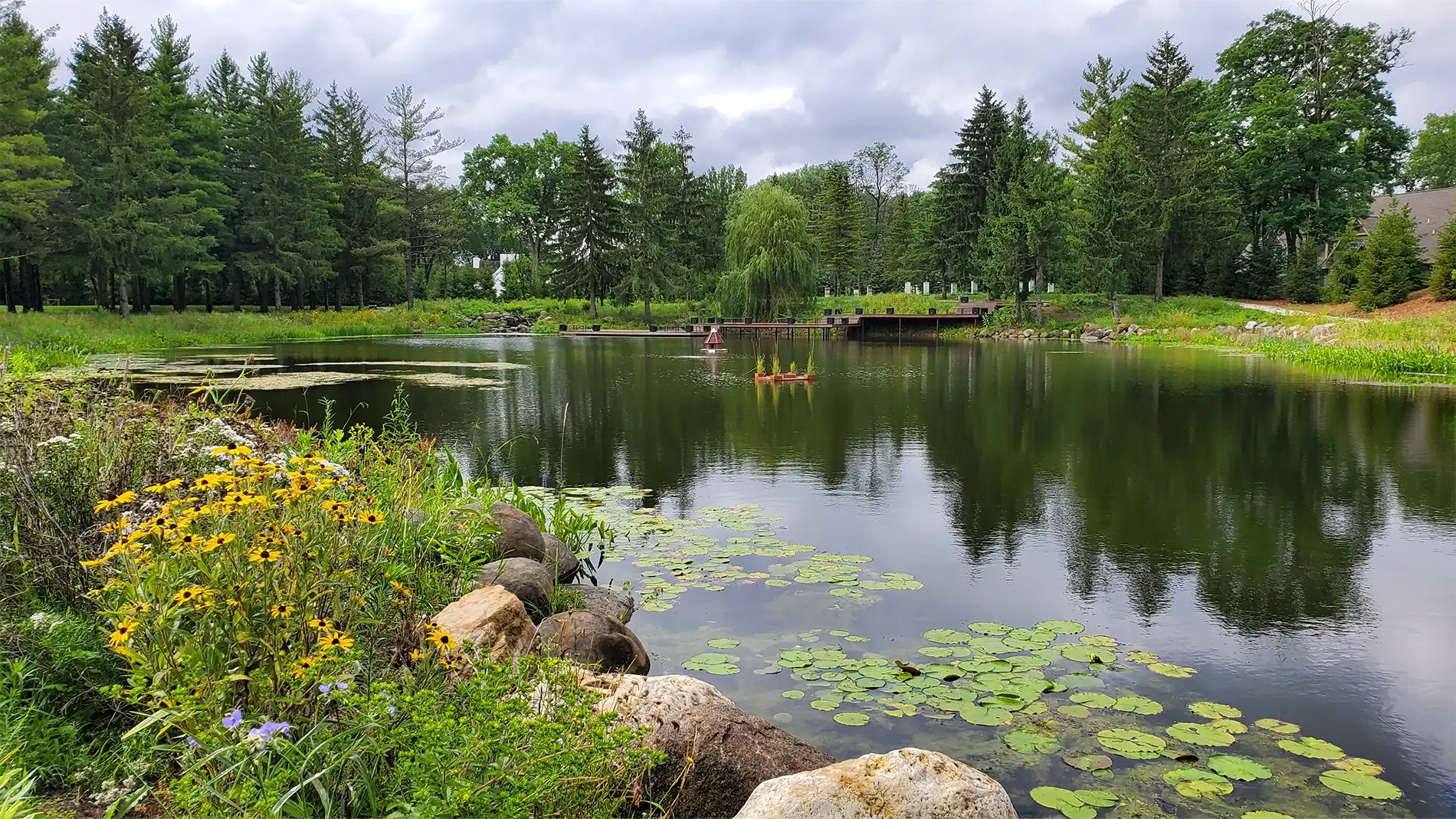 EcoFriendly Solutions for Algae Control in Your Pond or Water Garden