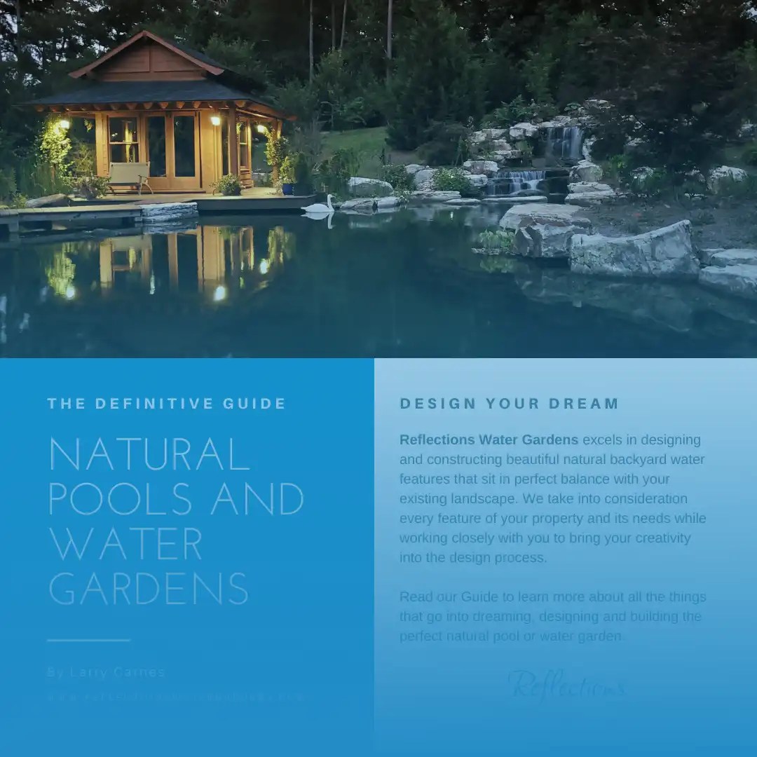 Natural Pool Design Craft Your Dream Backyard Retreat Reflections