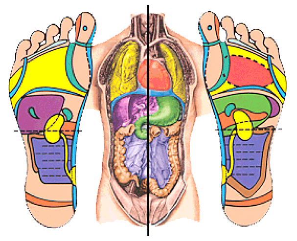 Les zones des pieds en corrélation avec le corps