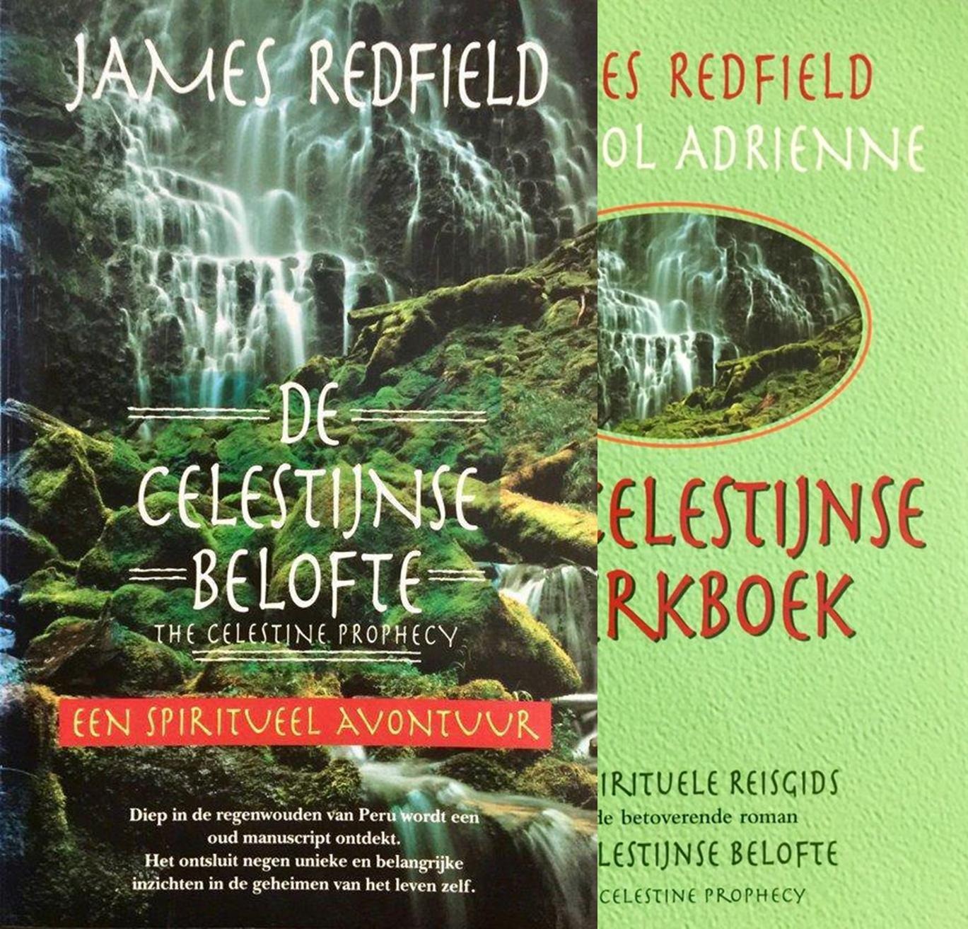 Redfield, James De Celsestijnse belofte + Werkboek Romans