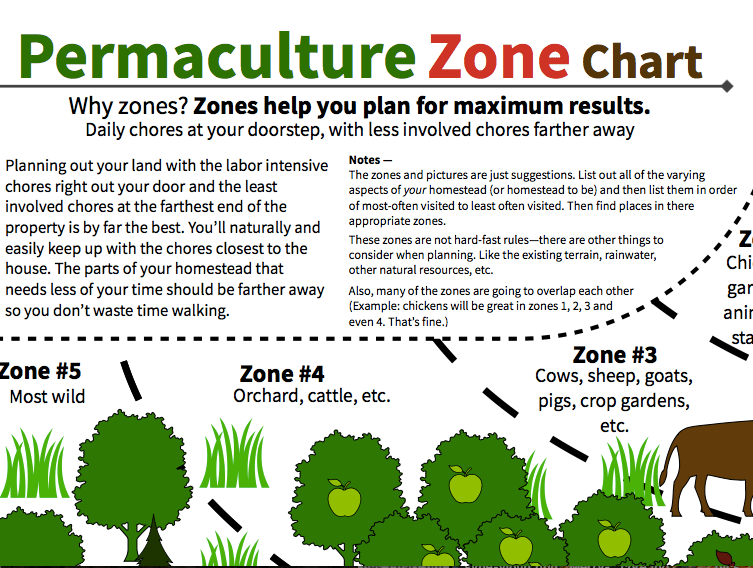 Permaculture Homestead Layout permaculture design