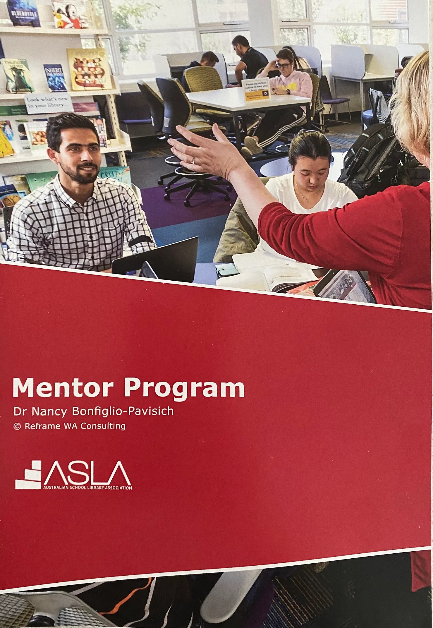 Mentoring Matters Reframe