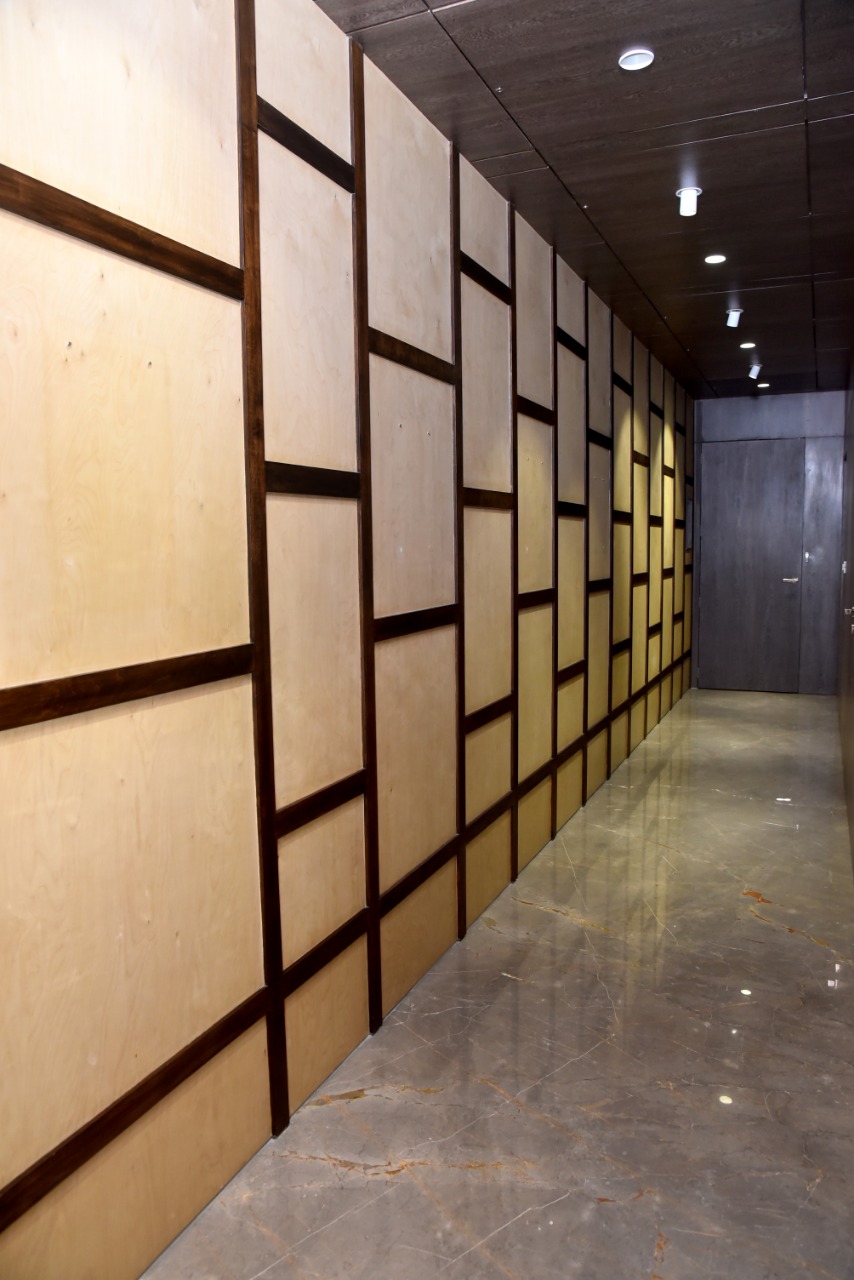 Birch Plywood Best Price In India Regency Ply