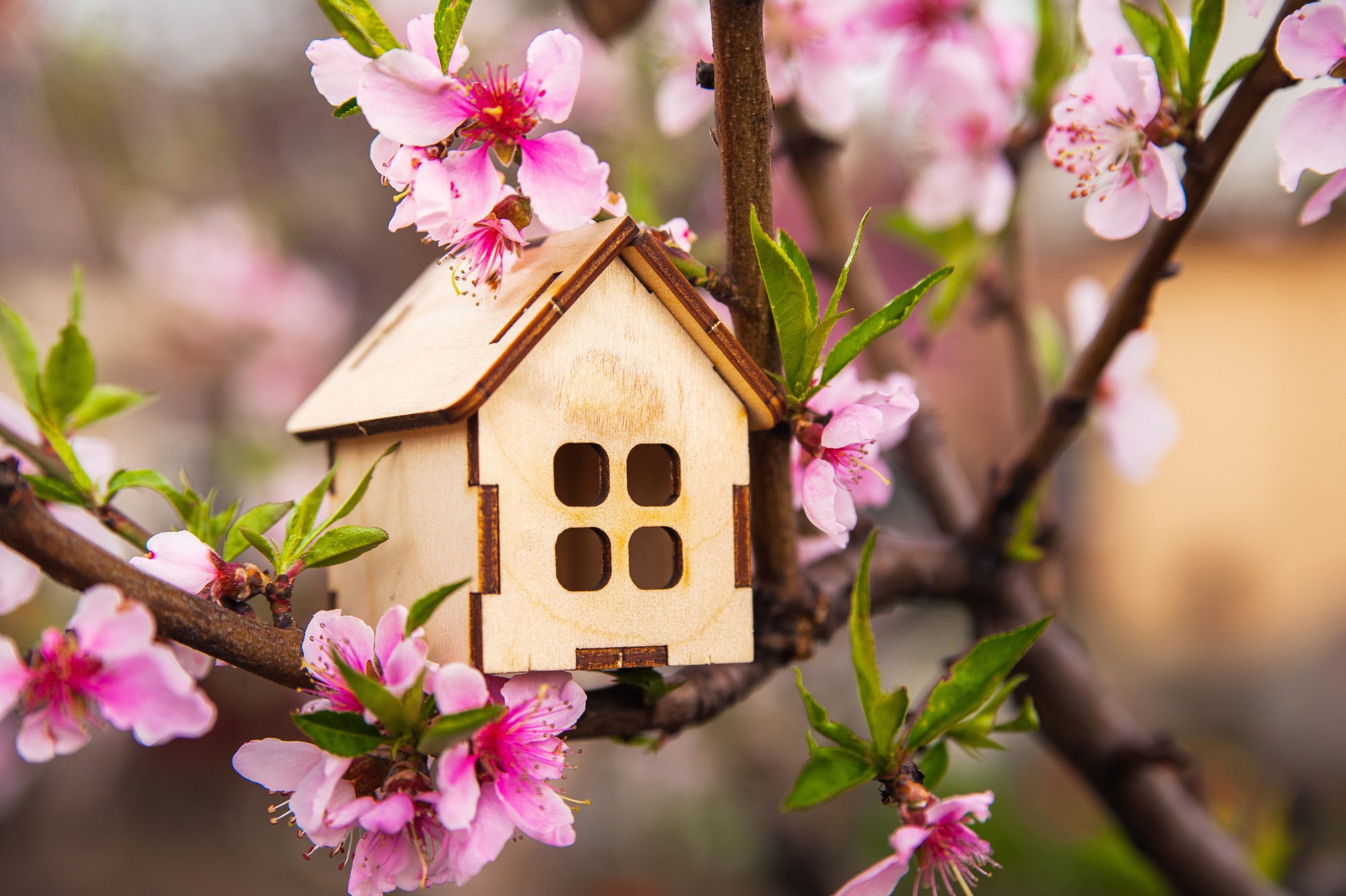 8 Tips for Selling Your Home in Spring Regional and Rural Realty