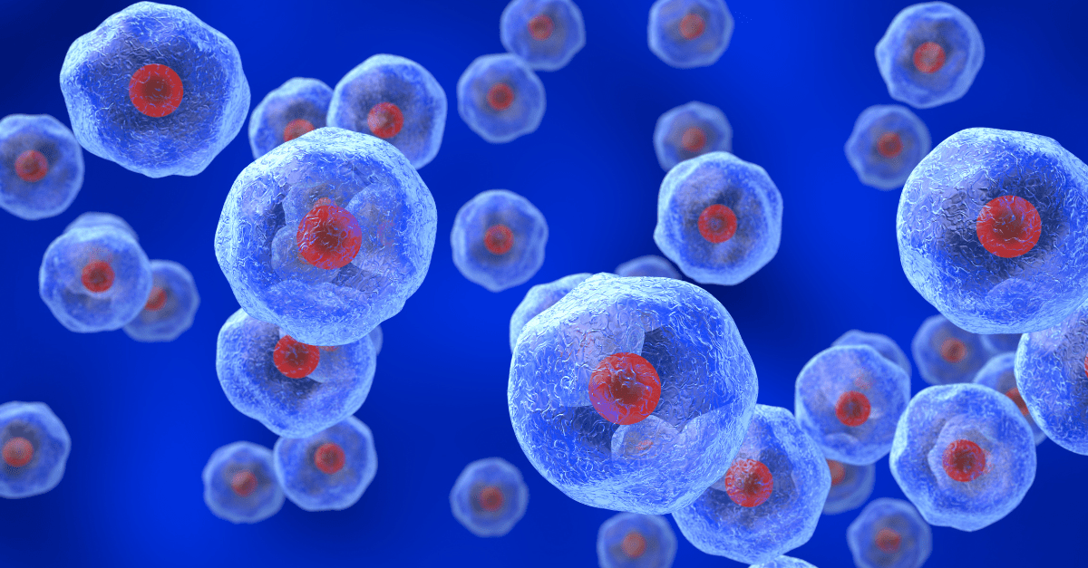 Immortalized versus primary cells considerations for optimal