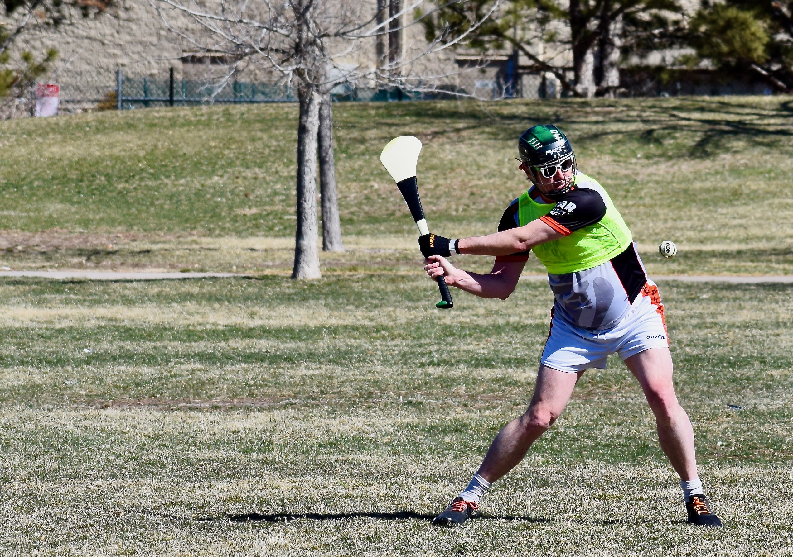 DSC_0225 Regulators Hurling