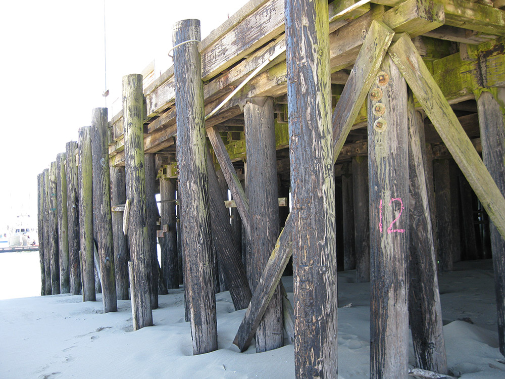 Timber Piles
