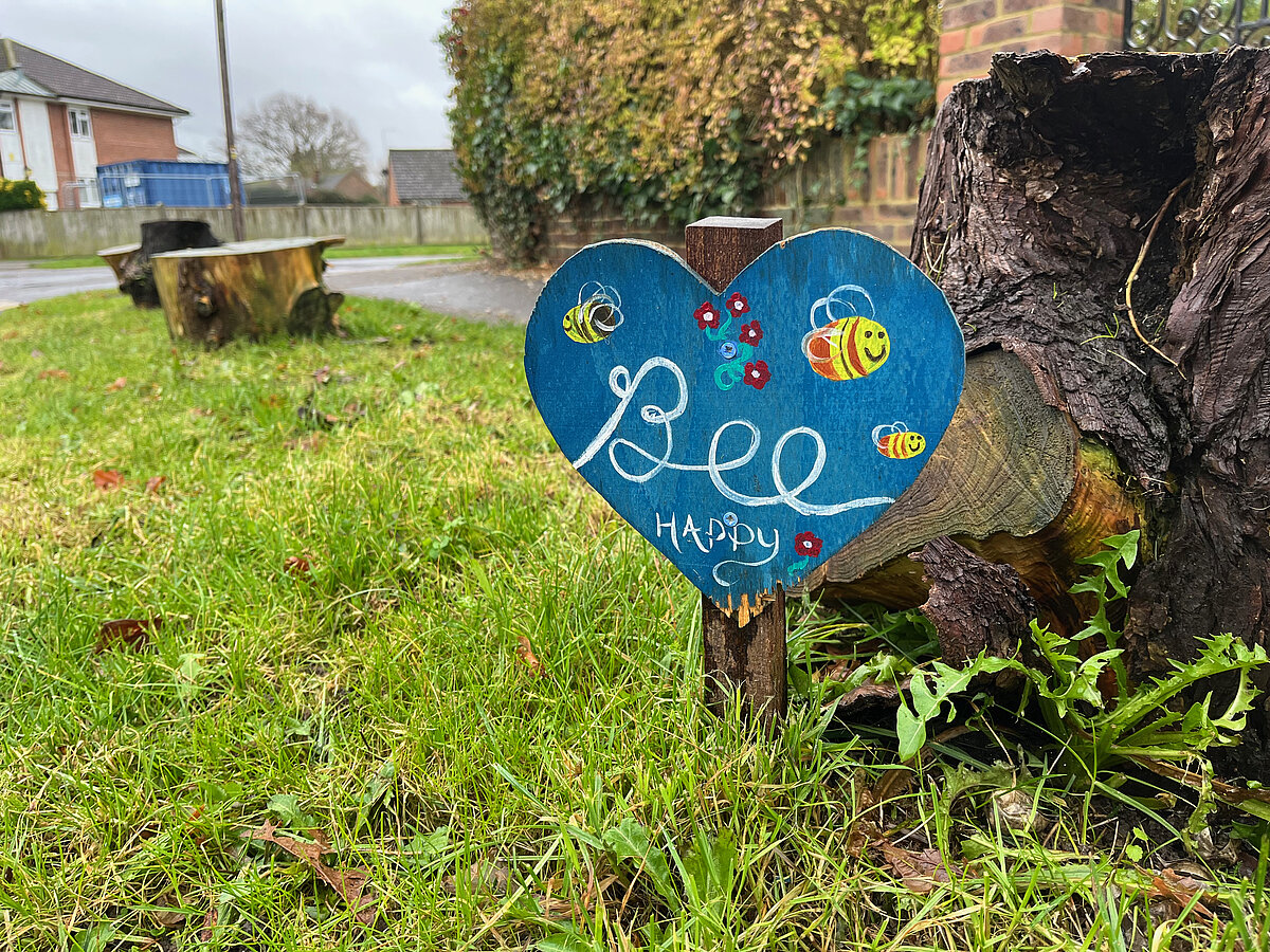 How to Help Local Biodiversity Reigate and Banstead Liberal Democrats