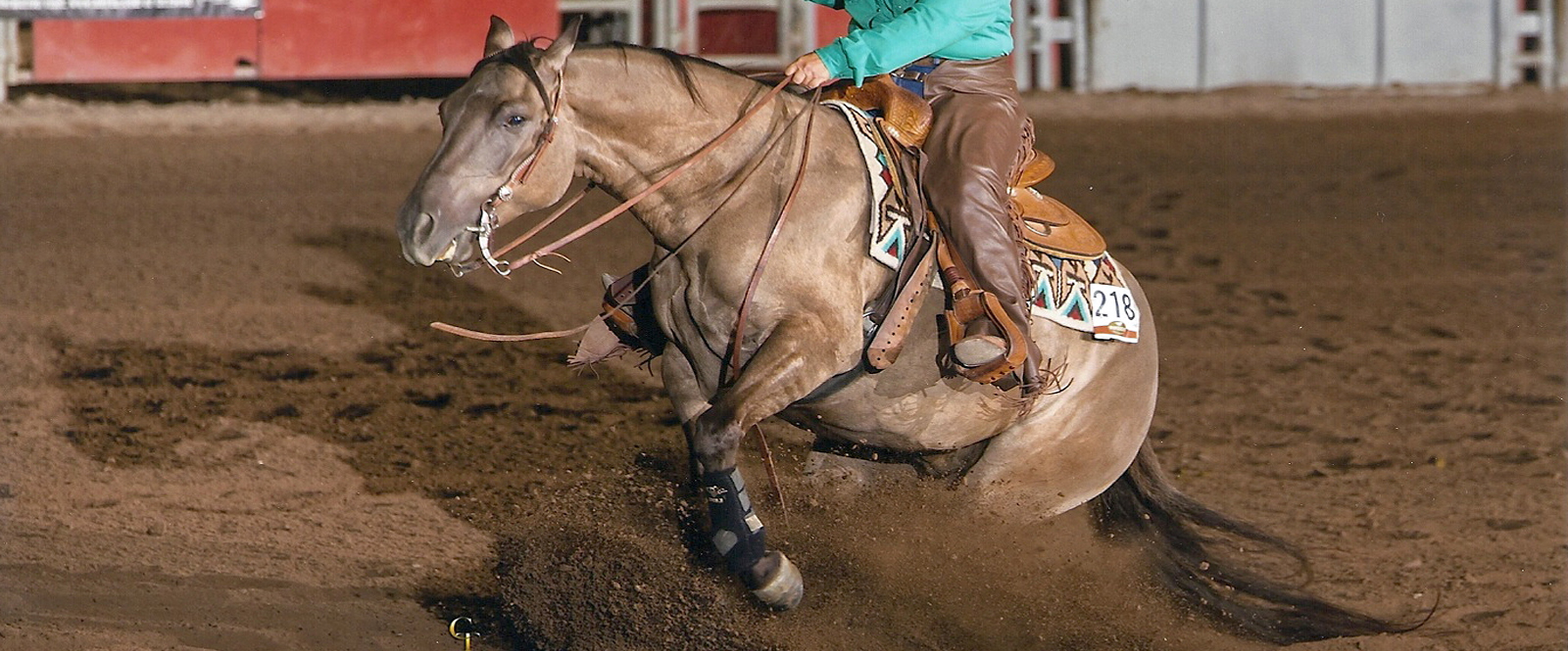 Your Link to the World of Reining. We have been helping Reiners Find Reiners