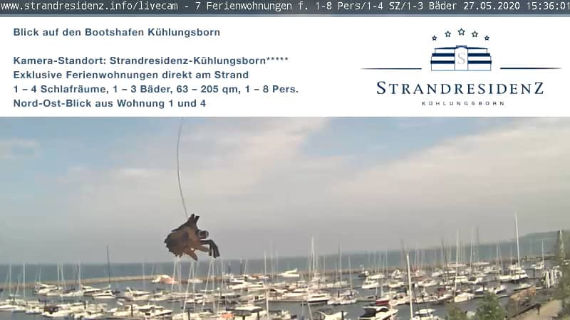 11 Live Webcams in Kühlungsborn (2021)