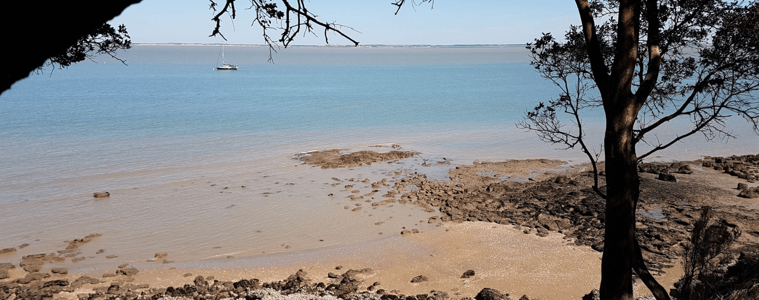 Infinity Trail France 2e étape du parcours le 08 octobre, avec la