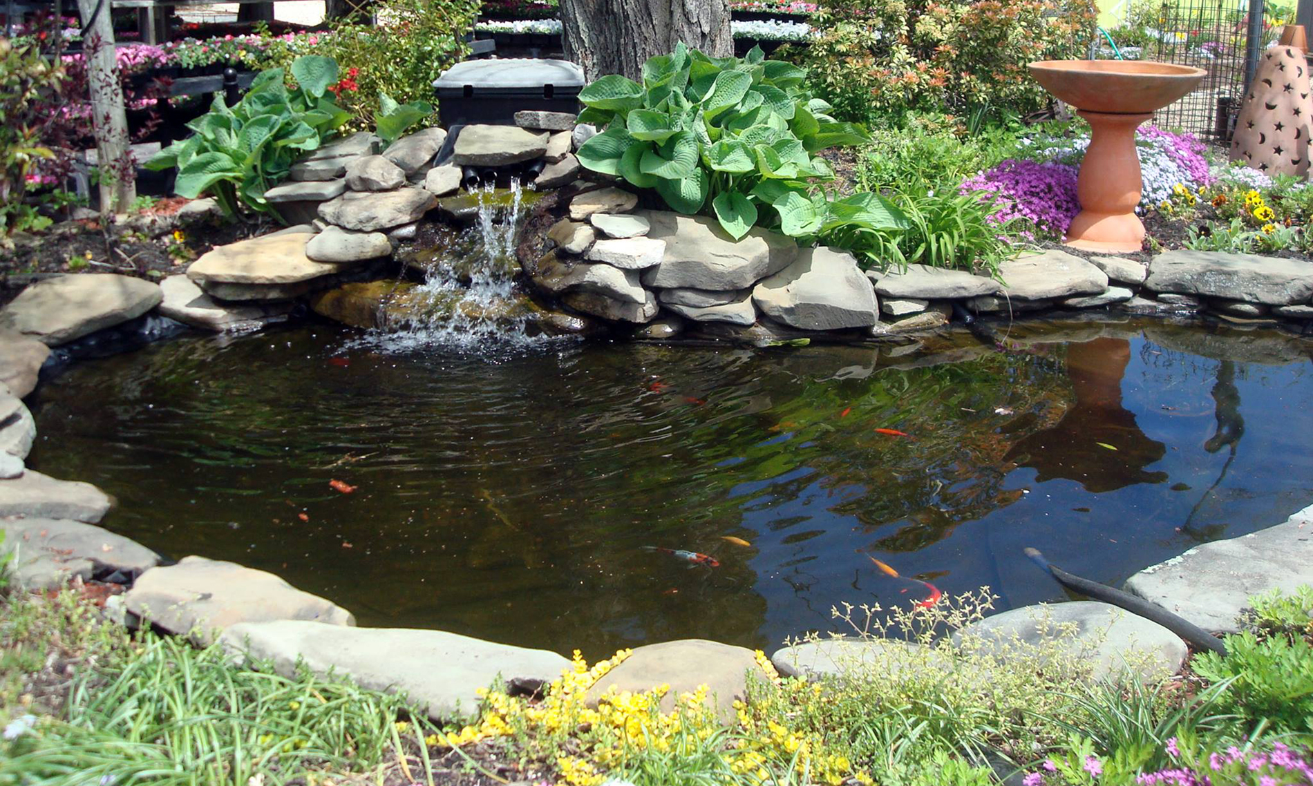 Best Garden & Ponds Gates and Fencing Panels Installation