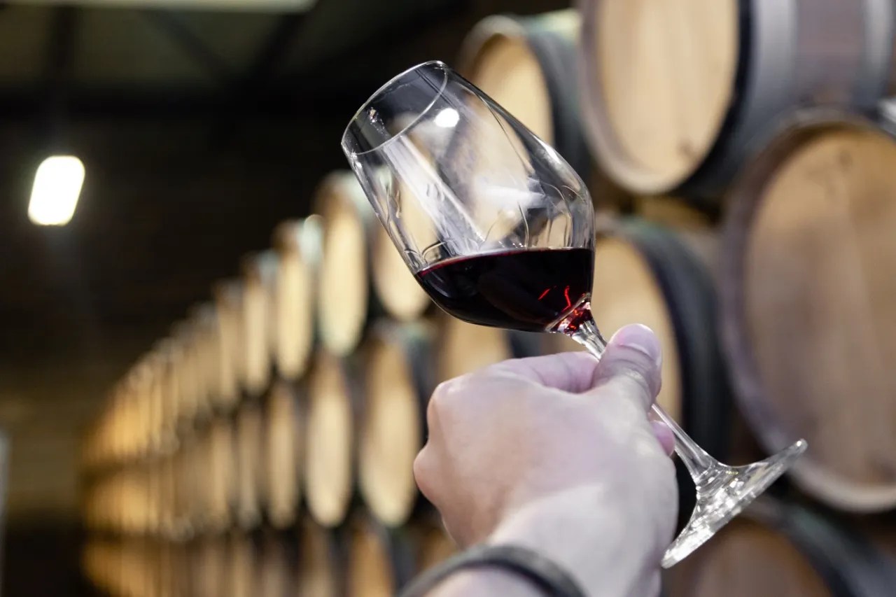 Ready the glasses! First Mexican wine festival in Los Cabos Relo To Baja