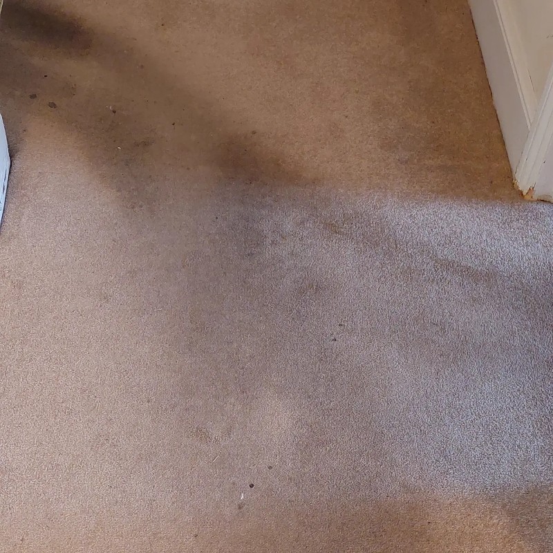 Carpet Cleaning Ely, March, Huntingdon & Newmarket I Remarkerble