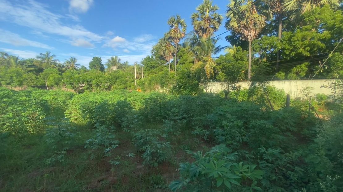 Land for sale in Kopay. RE/MAX Sri Lanka