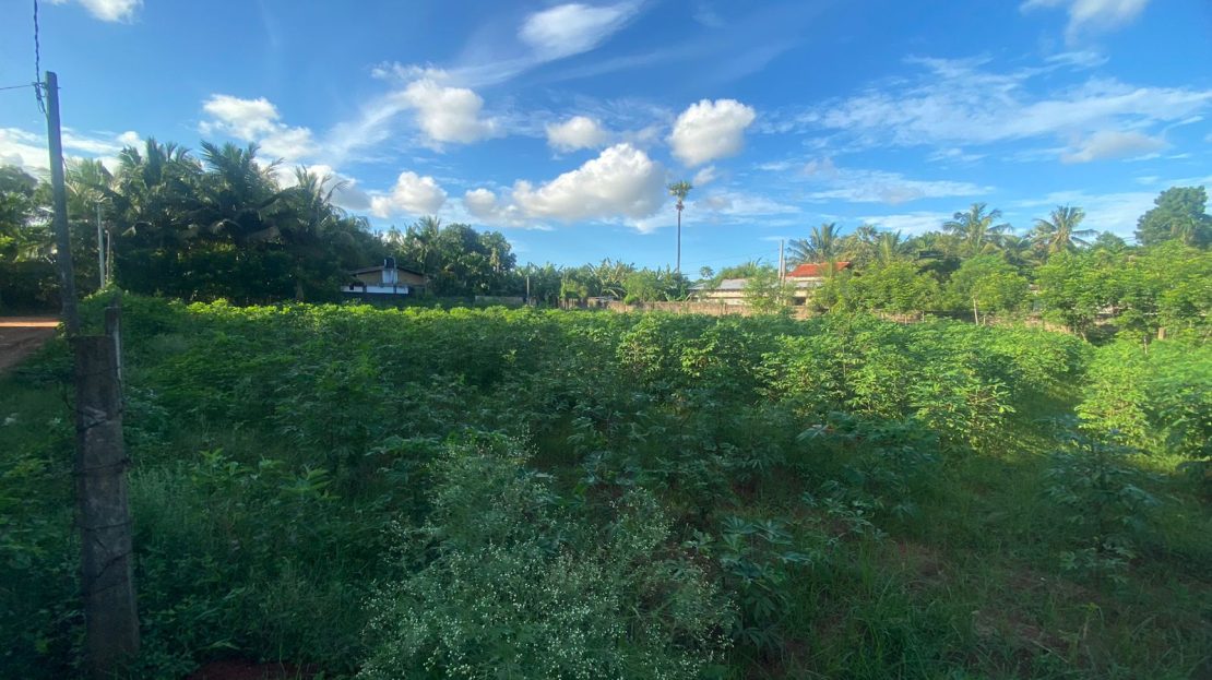 Land for sale in Kopay. RE/MAX Sri Lanka