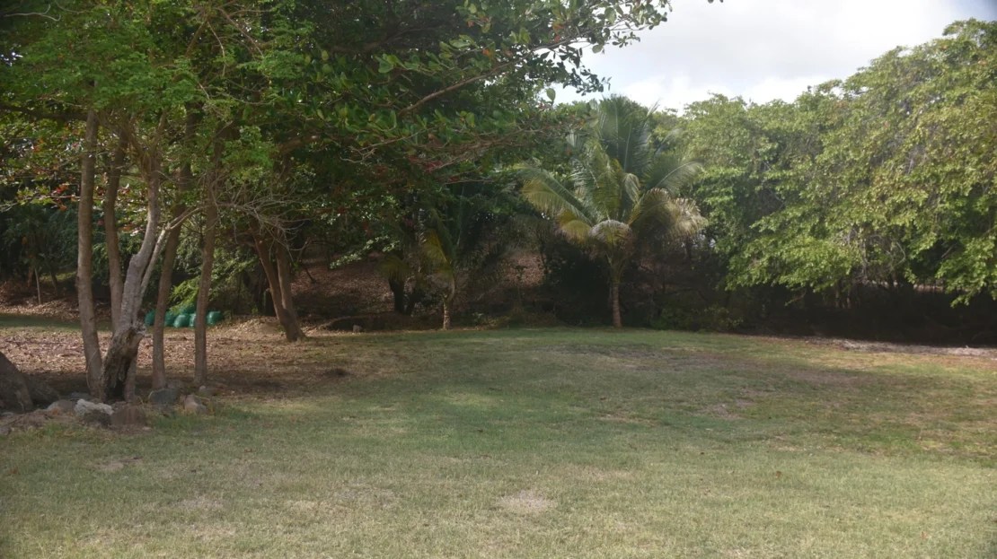 Fort Jeudy beachfront lot Remax Grenada
