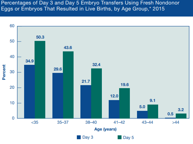 Embryo Grading And Success Rates Day 5 Rating Walls