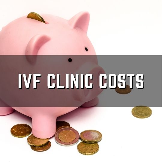 IVF Clinic Costs Remembryo