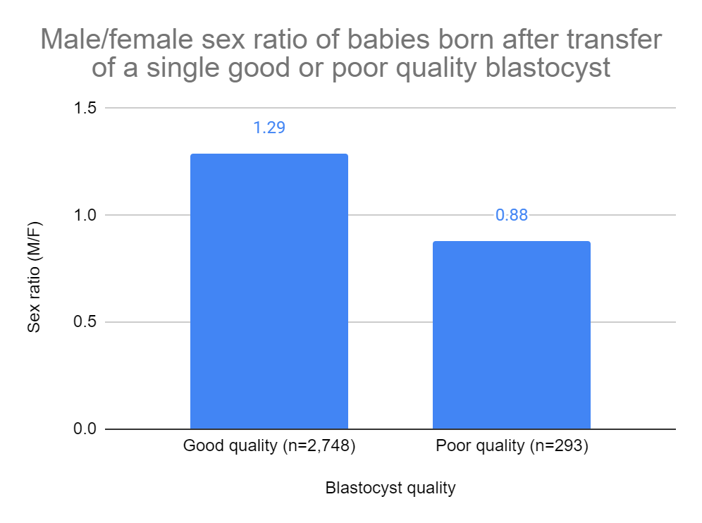 Study examines association with embryo quality and male to female sex