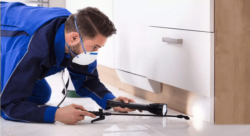 Dynamic approach to apartment pest management REMI Network