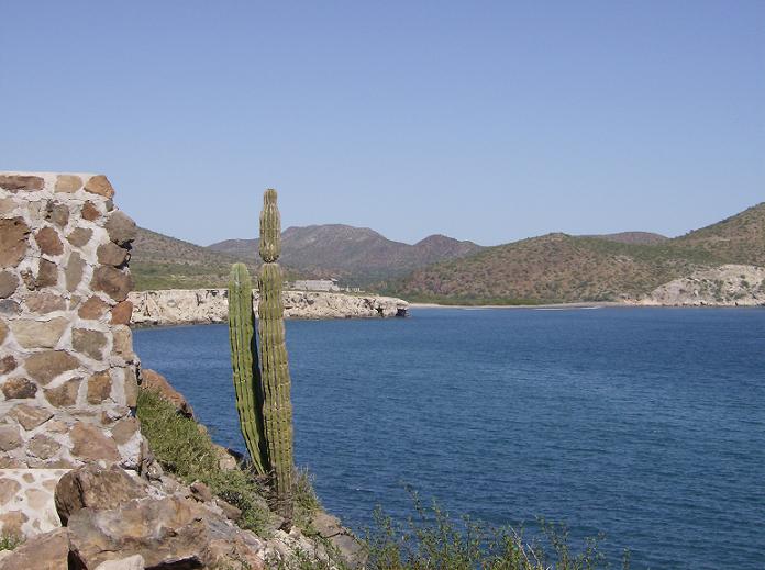 Real Estate and properties for sale at Loreto Bay Homes real estate