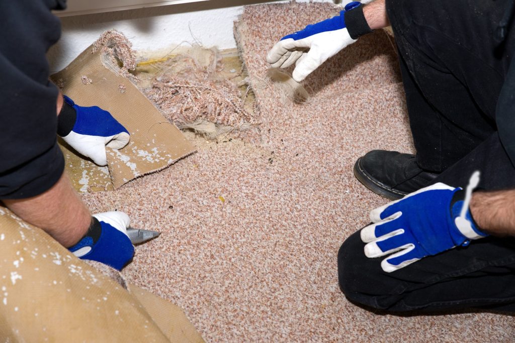 4 Reasons to Ditch Carpet This Year R Company