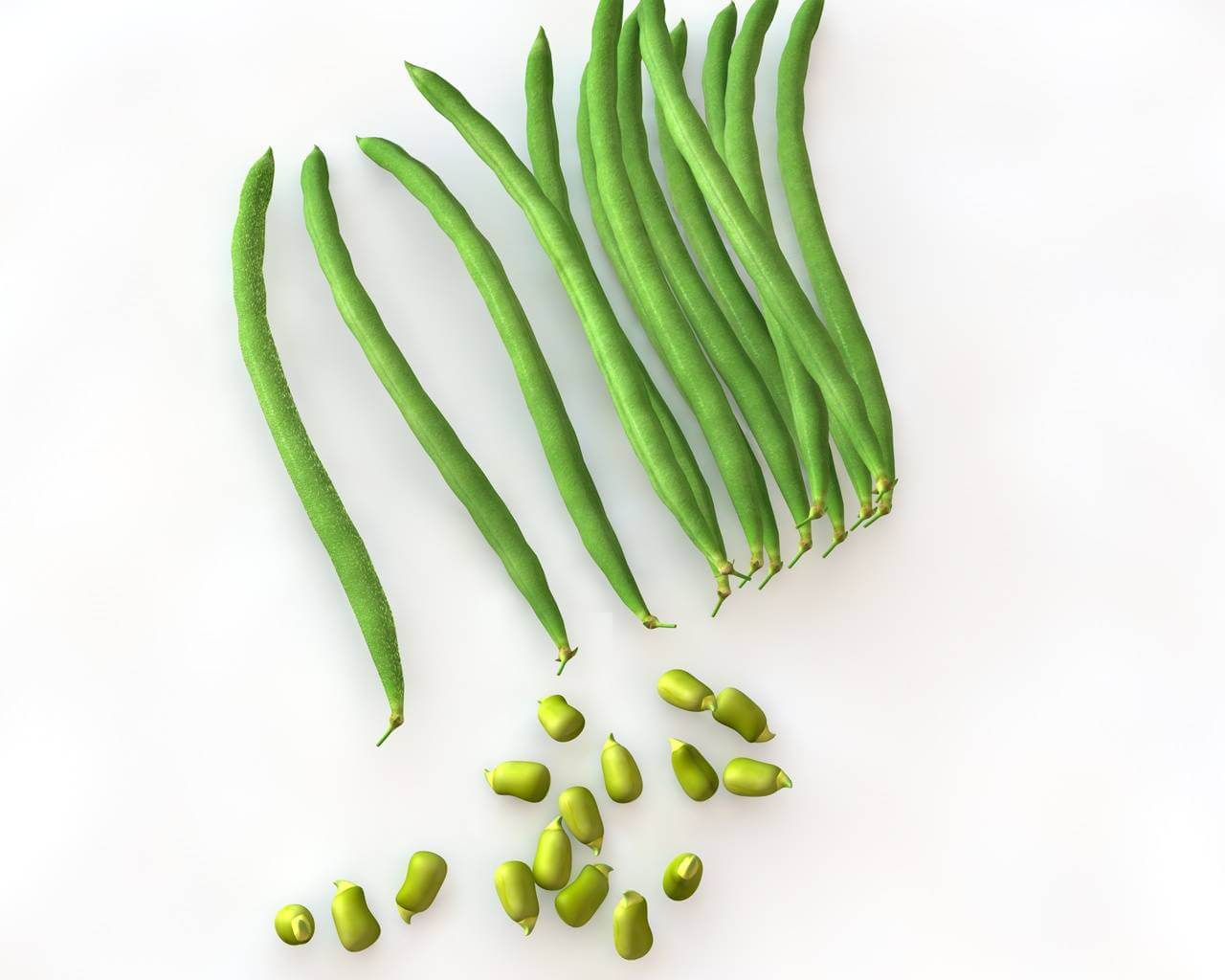 French Beans 3D Model by 3dstudio
