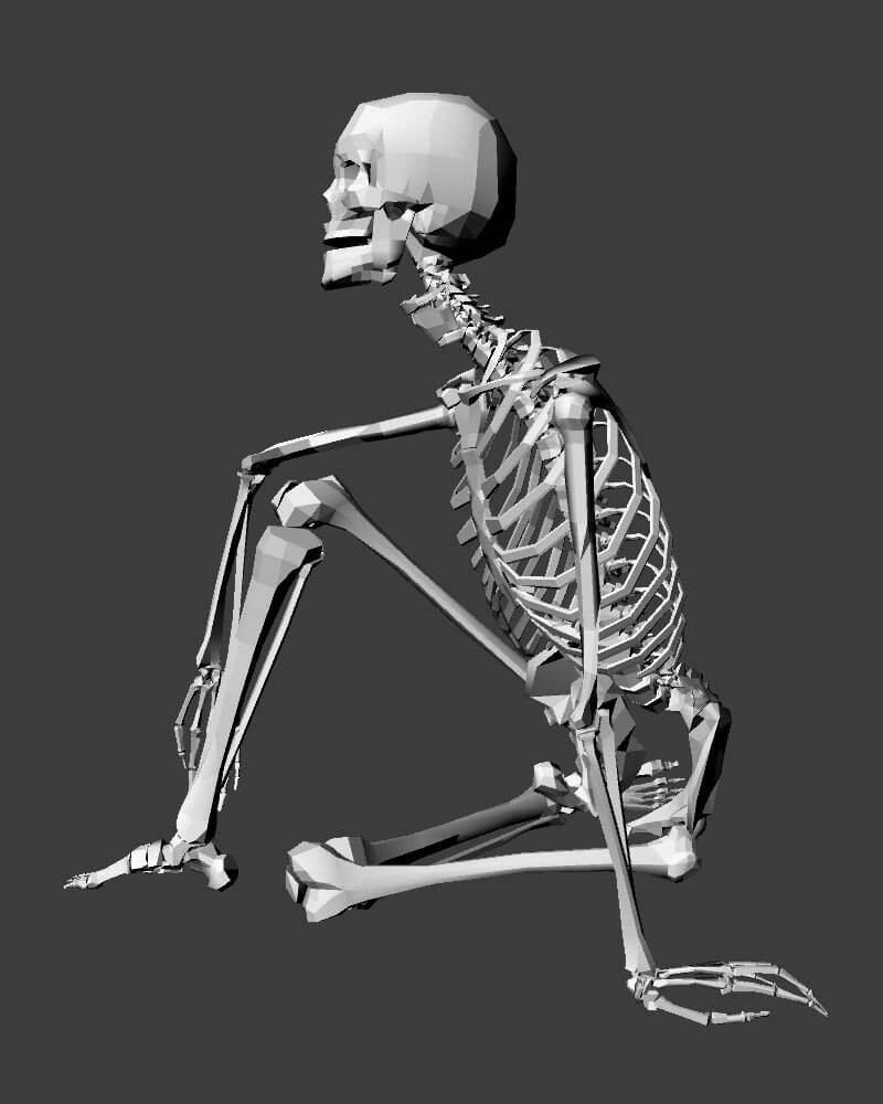 Low Poly Skeleton For Maya Free 3D Model by 606tom