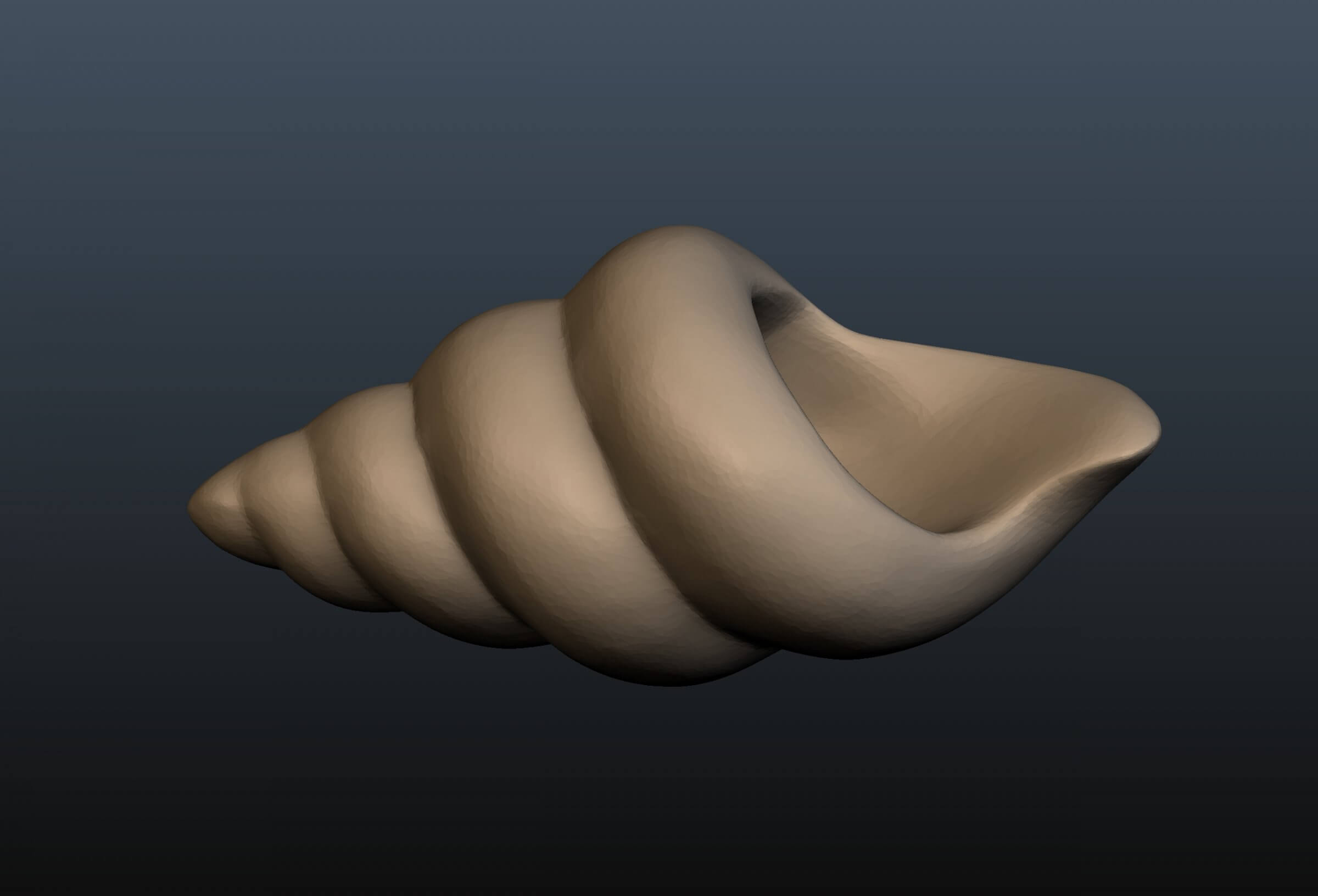 Seashell 3D Print Model by alexkovalev