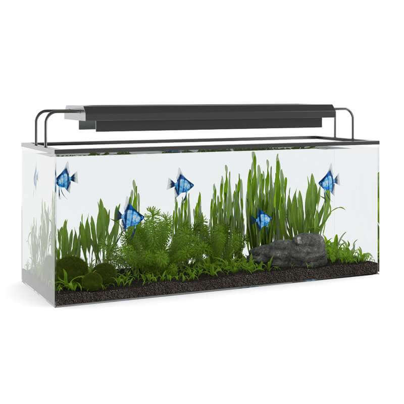 Rectangular Aquarium with Light 3D Model by cgaxis