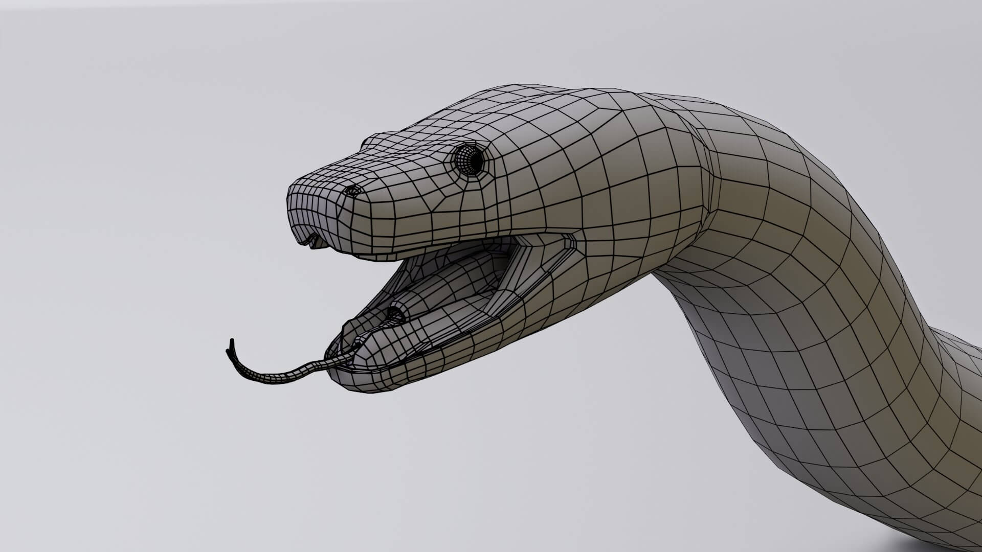 Rigged Burmese Python 3D Model