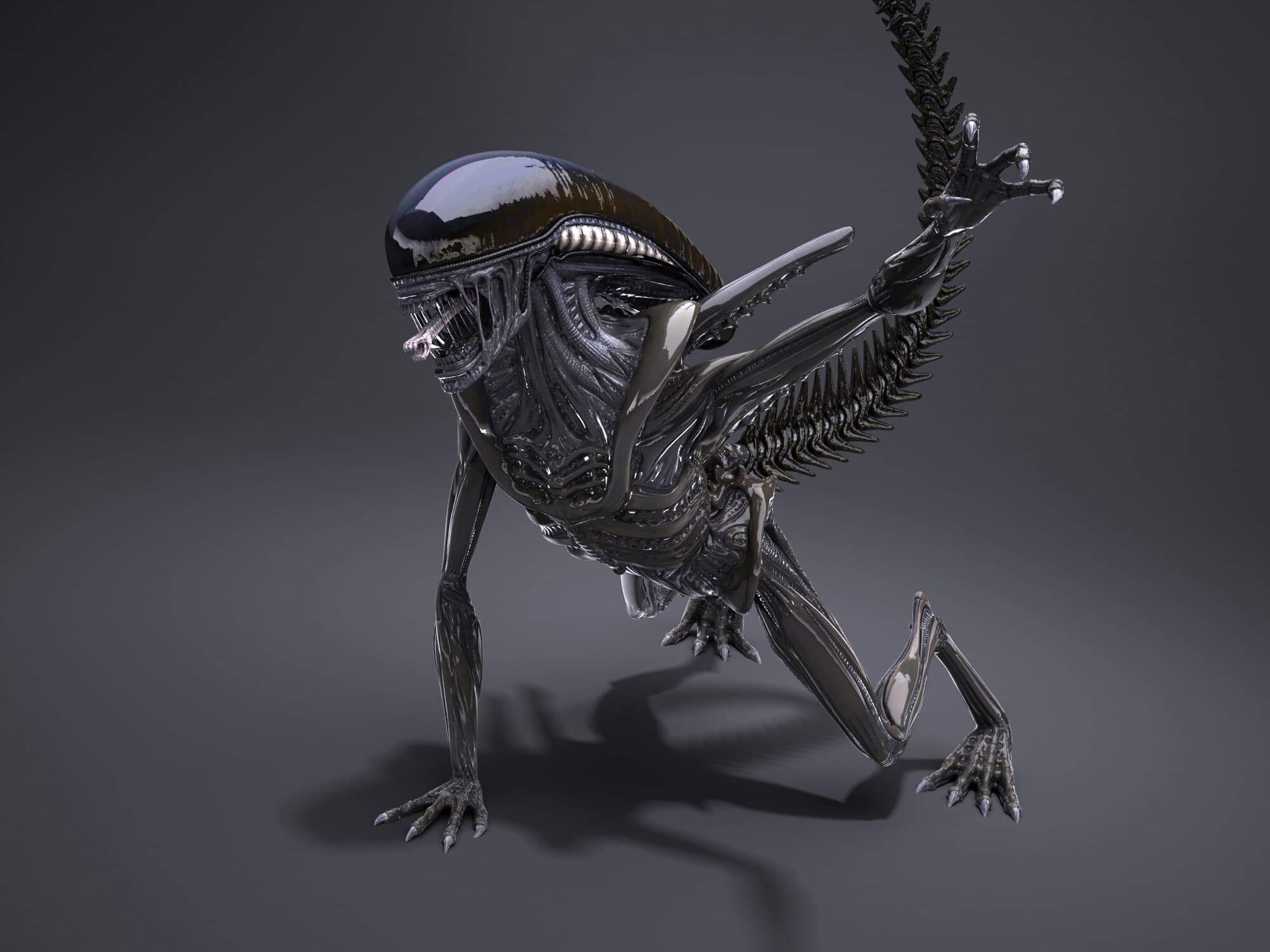 Alien Xenomorph 3D Model