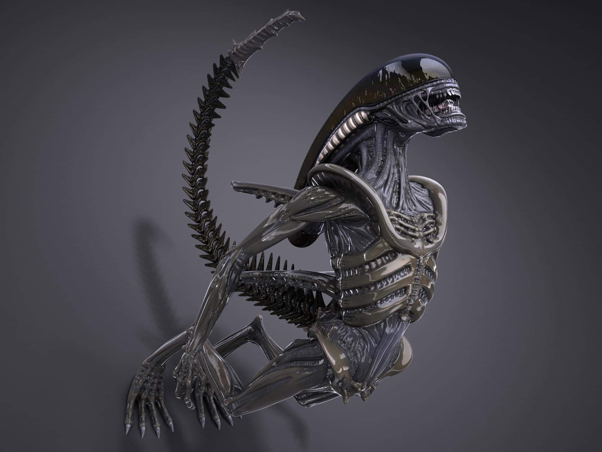 Alien Xenomorph 3D Model by SQUIR