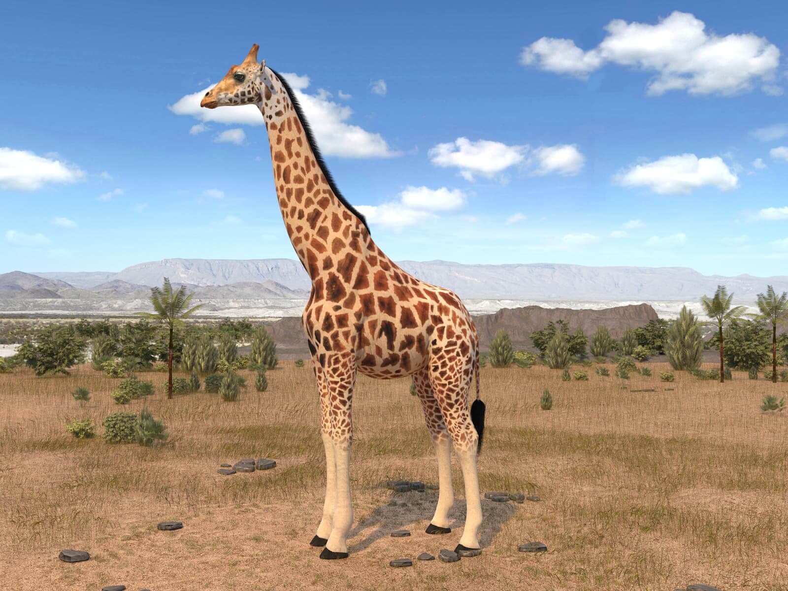 Giraffe 3D Model by SQUIR