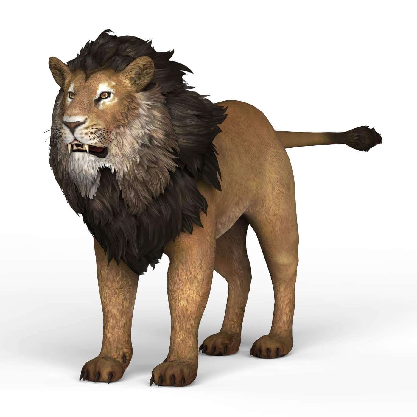Lion 3D Model by TreeWorld3d