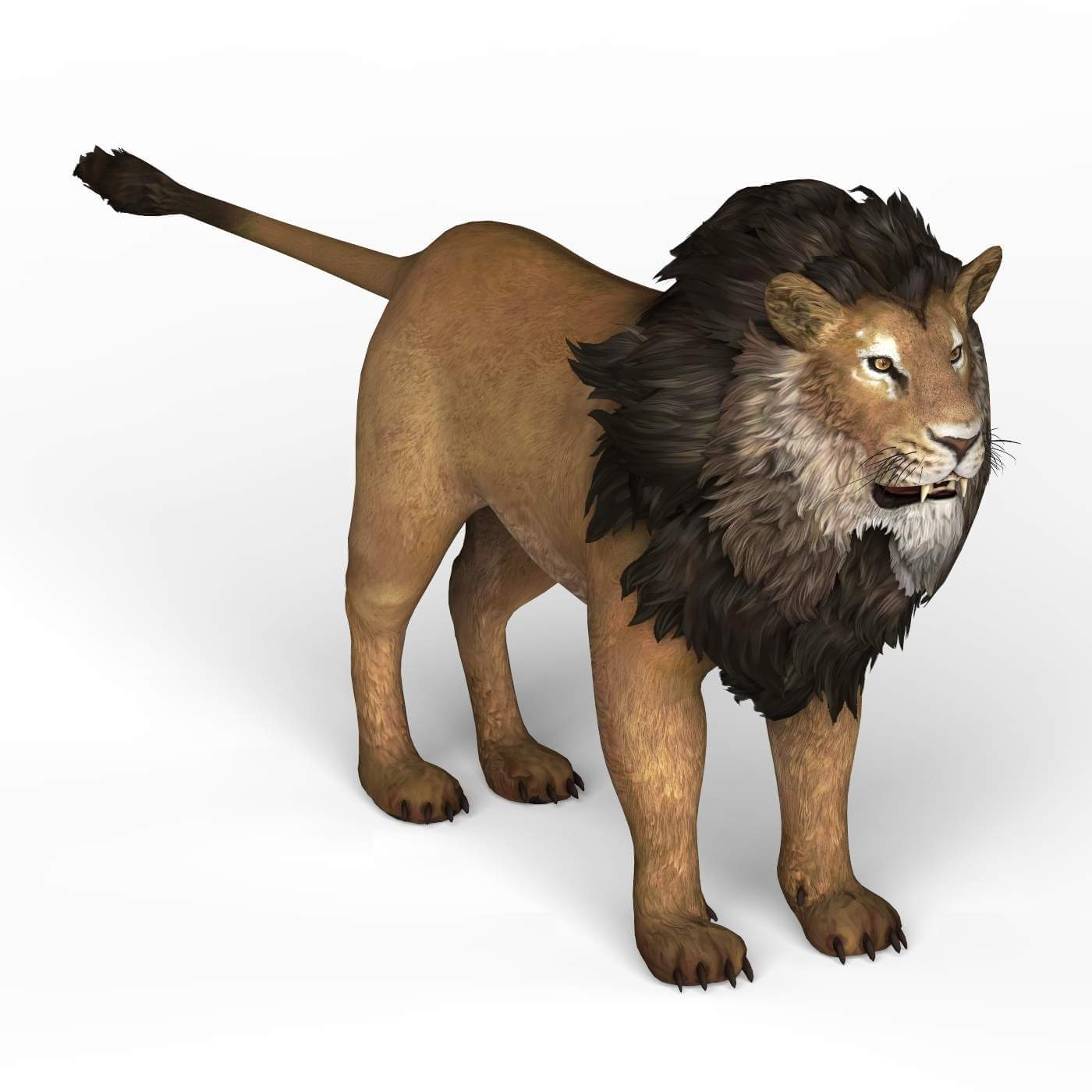 Lion 3D Model by TreeWorld3d
