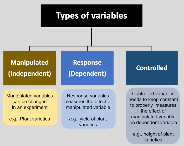 Manipulated, Response, And Control Variables [Definition And Research Example]