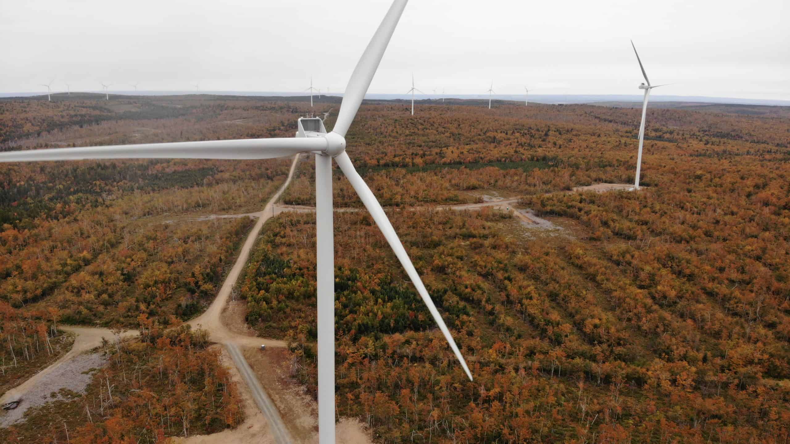 TransAlta to rehab damaged wind farm following tower collapse