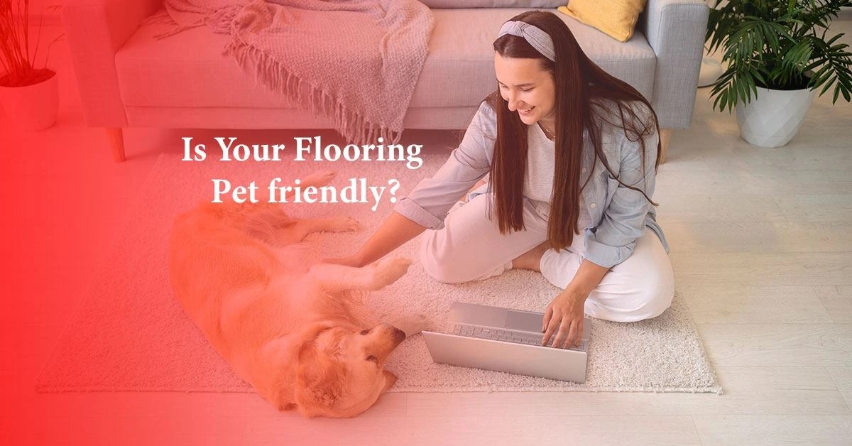 5 Types Of PetFriendly Flooring Blog