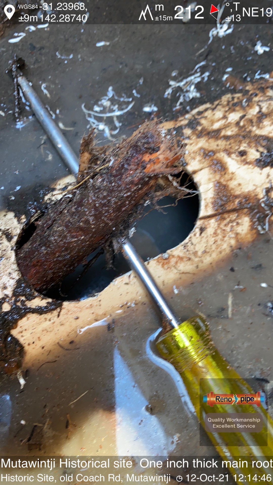 Drain Blockages Can tree roots get into pvc drains