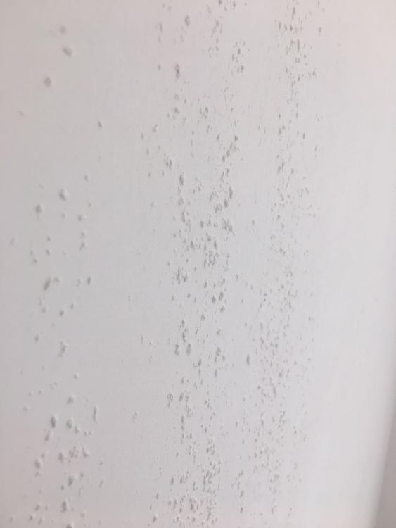 Chalky powder on newly plastered wall Ceiling, Walls and Flooring