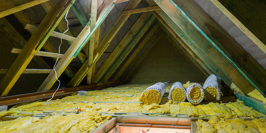 Homeowner's Attic Guide: Everything You Want to Know