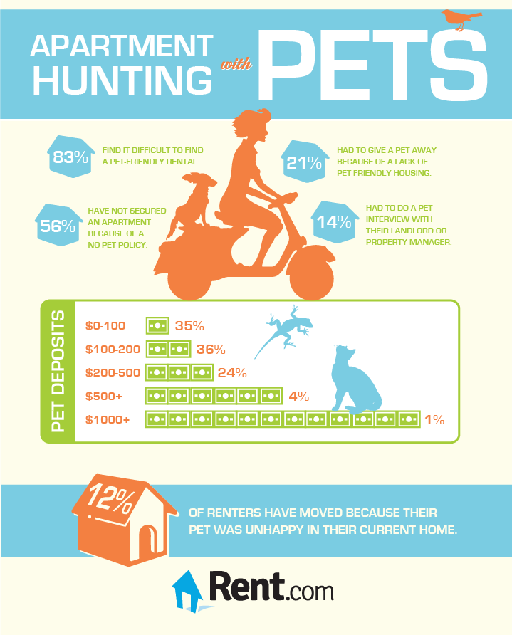 Finding Pet Friendly Apartments [Infographic] Blog