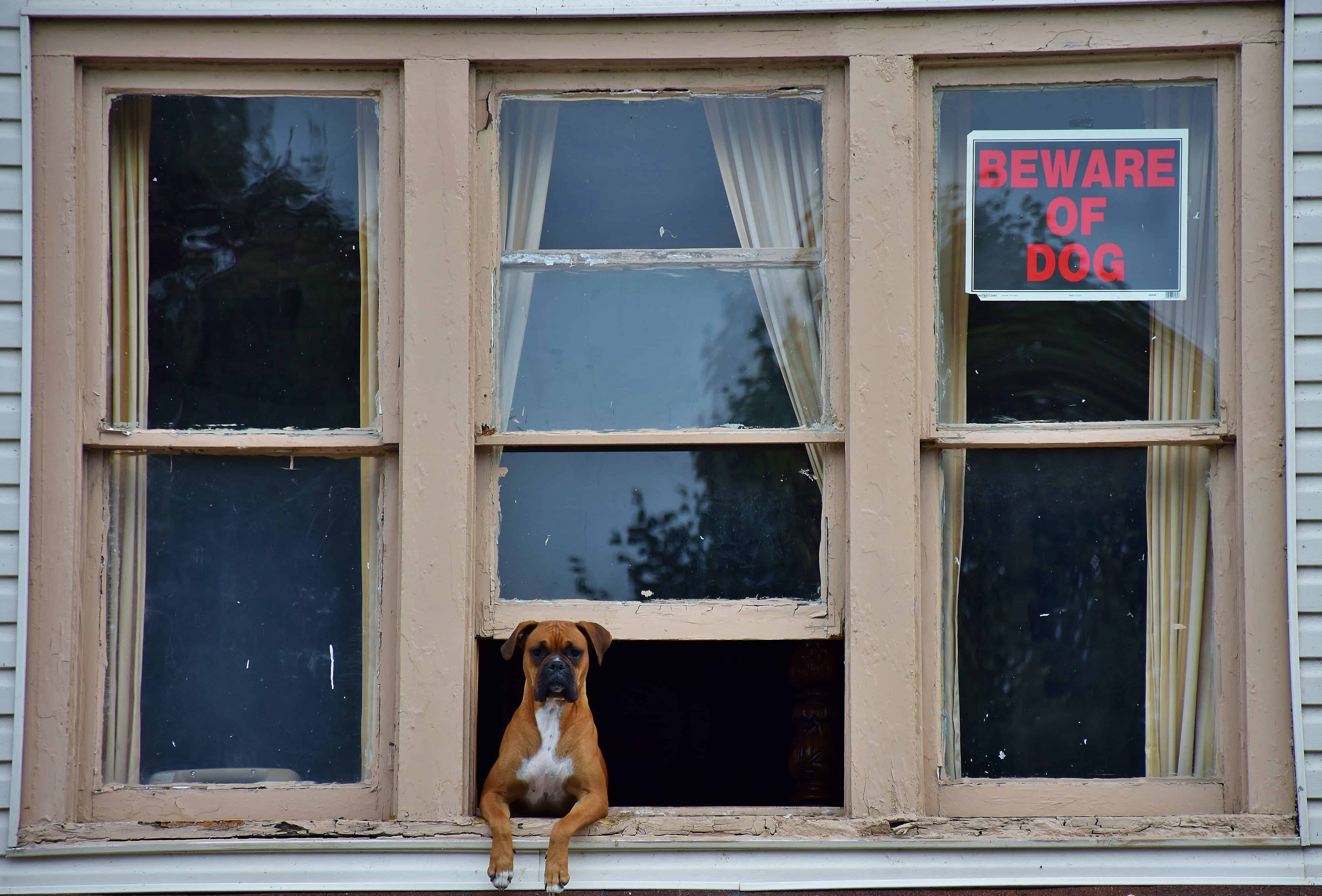 How to publish your apartment rental blog