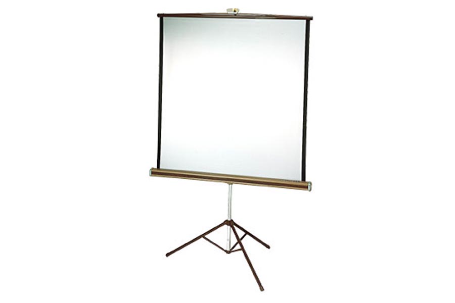 Rental Depot & Party Station, Inc. Rochester Minnesota Projector Screen.