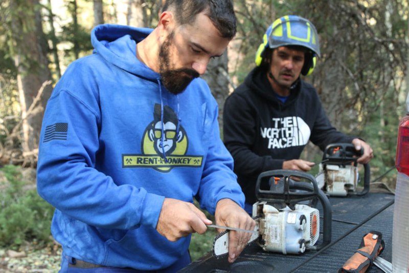 Gallery Rent A Monkey Tree Service
