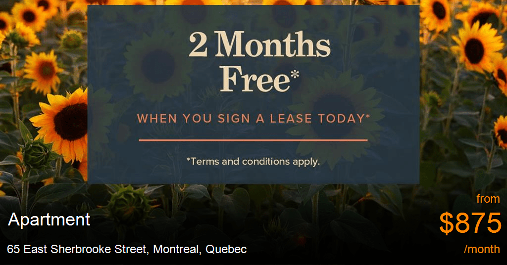 65 East Sherbrooke Street, Montreal Apartment for Rent