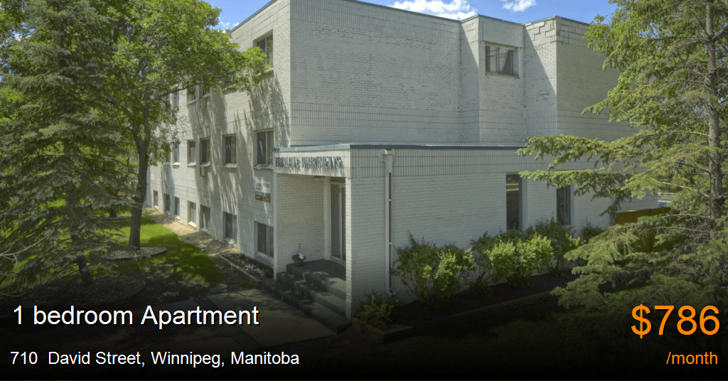 710 david street, winnipeg Apartment for Rent
