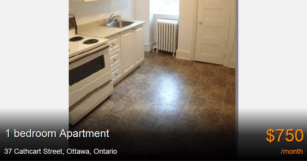 37 cathcart street, ottawa Apartment for Rent